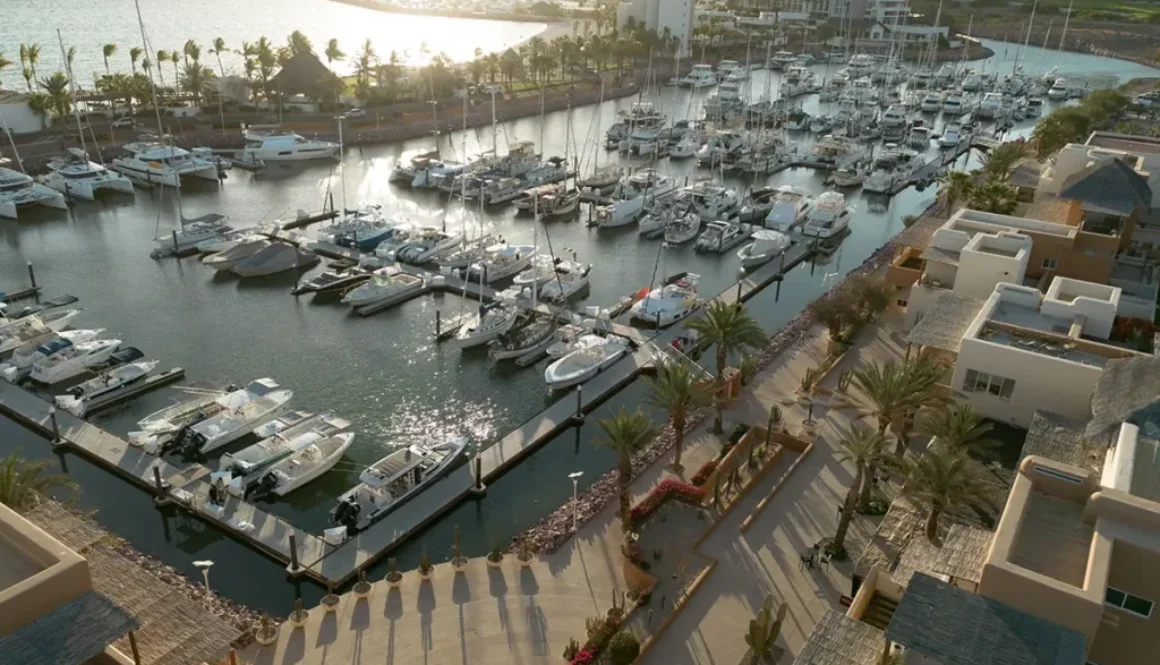 puerta-cortes-puerto-aerial-view